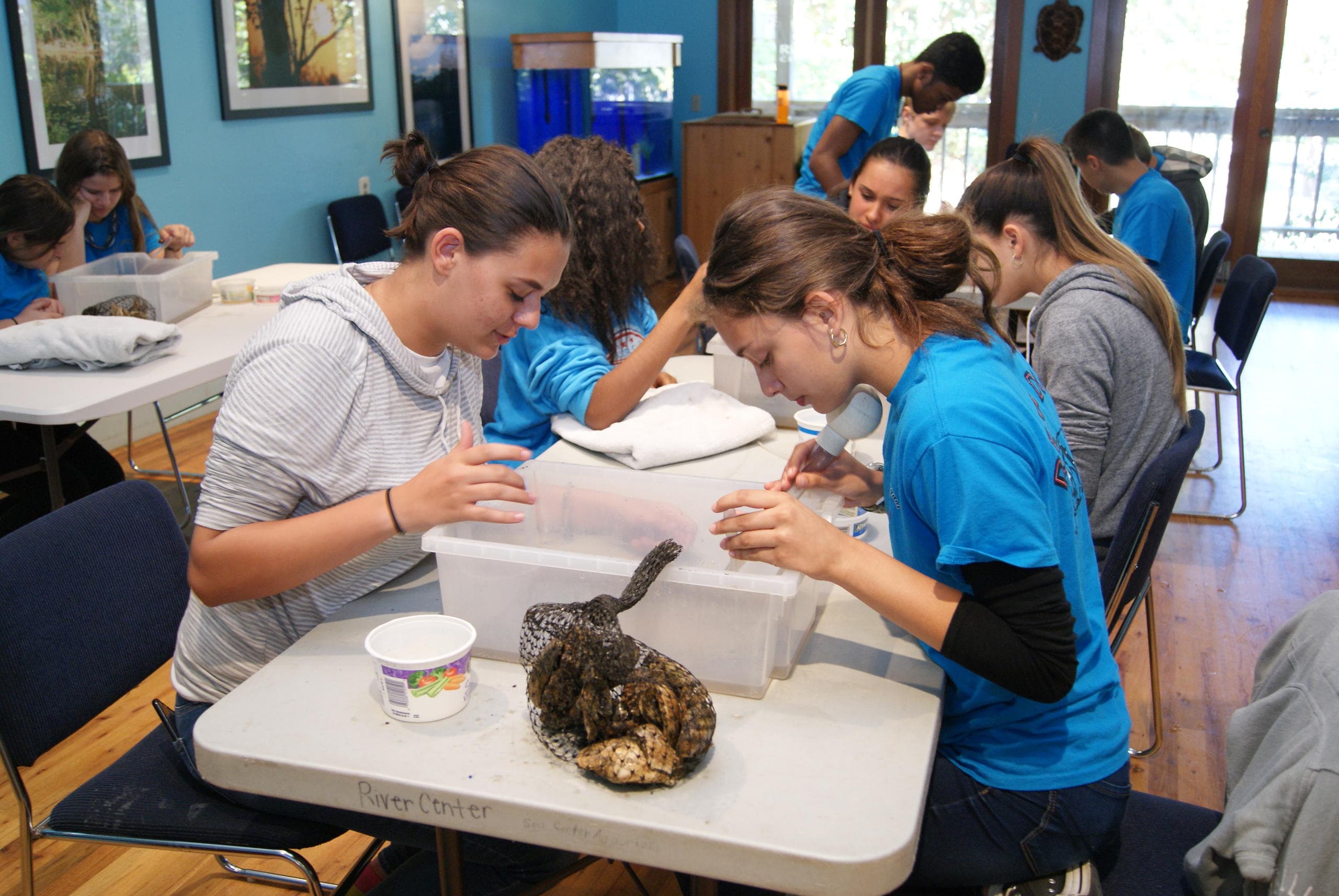 Educational River Field Trips at Loxahatchee River Center