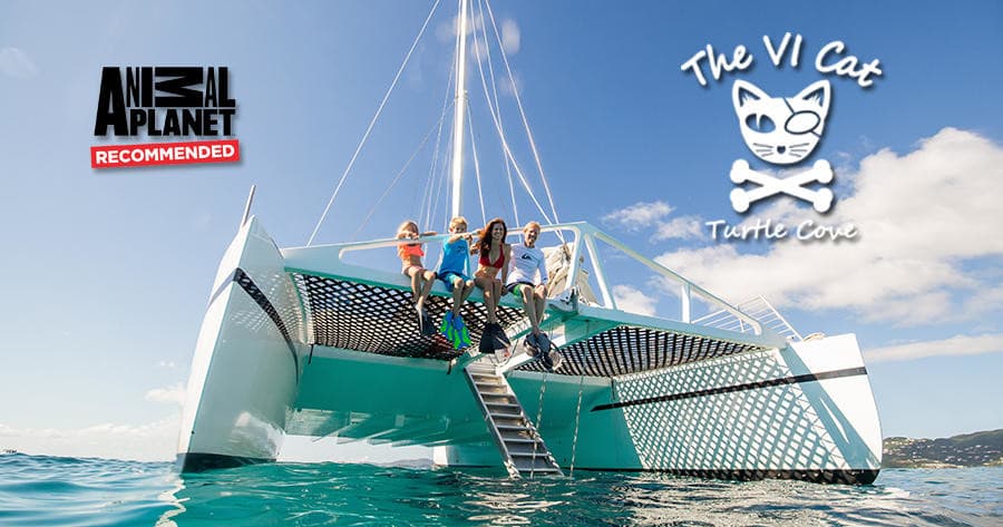 Turtle Cove Catamaran Snorkel & Sail in St. Thomas