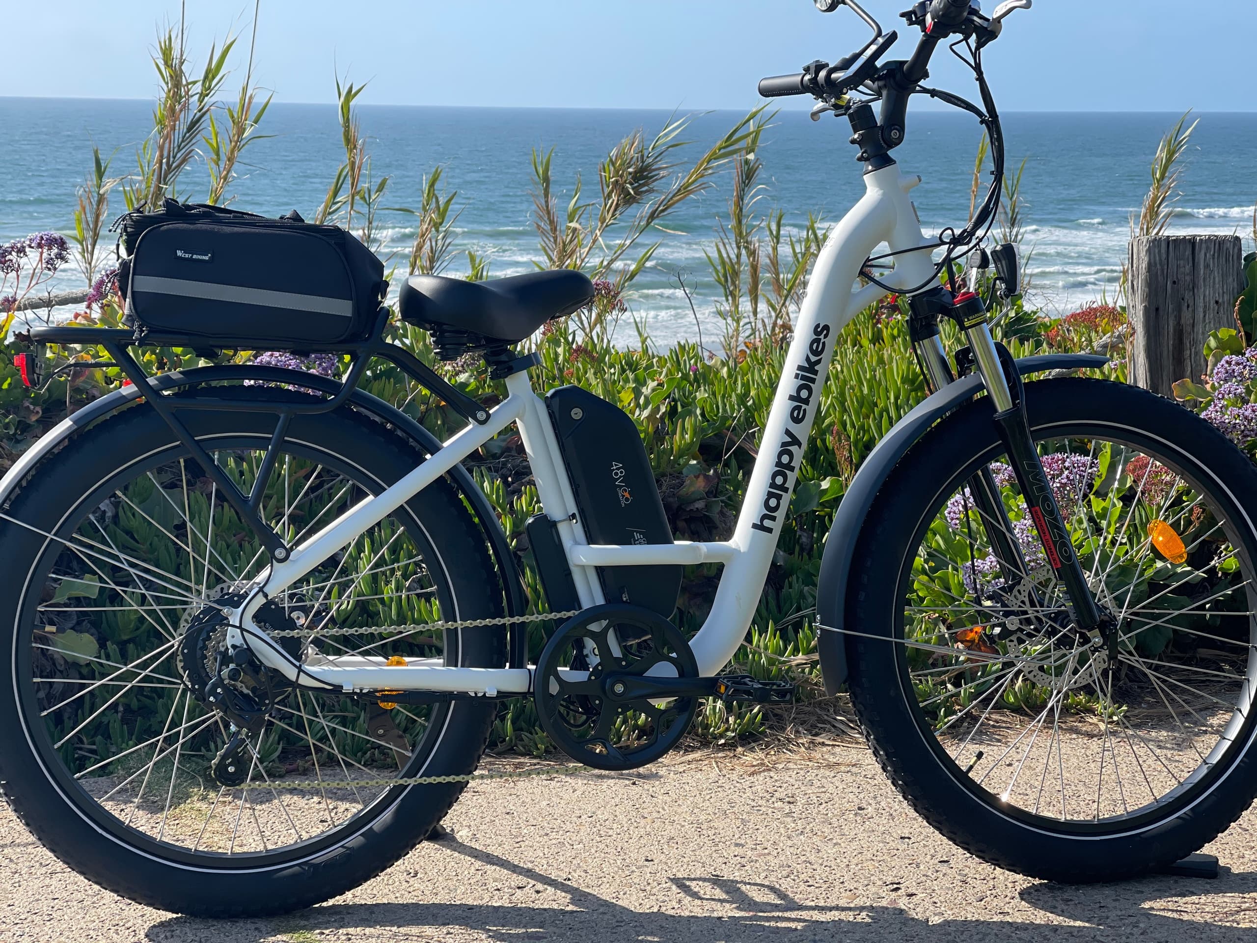 Single e-bike parked by ocean bluff with wildflowers, beach ride