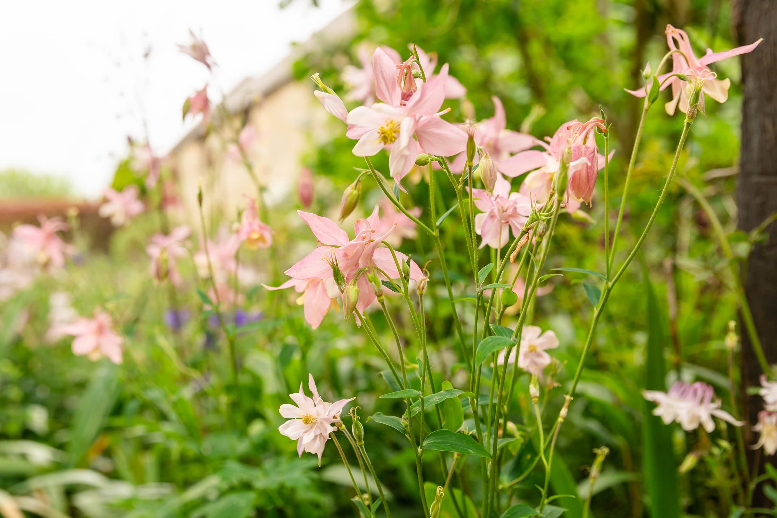 Land Adventures at Tiptoe Retreat: Summer Wellness Escape