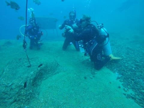 Night Dive Inshore: Fort Walton Beach After-Dark Dive Experience