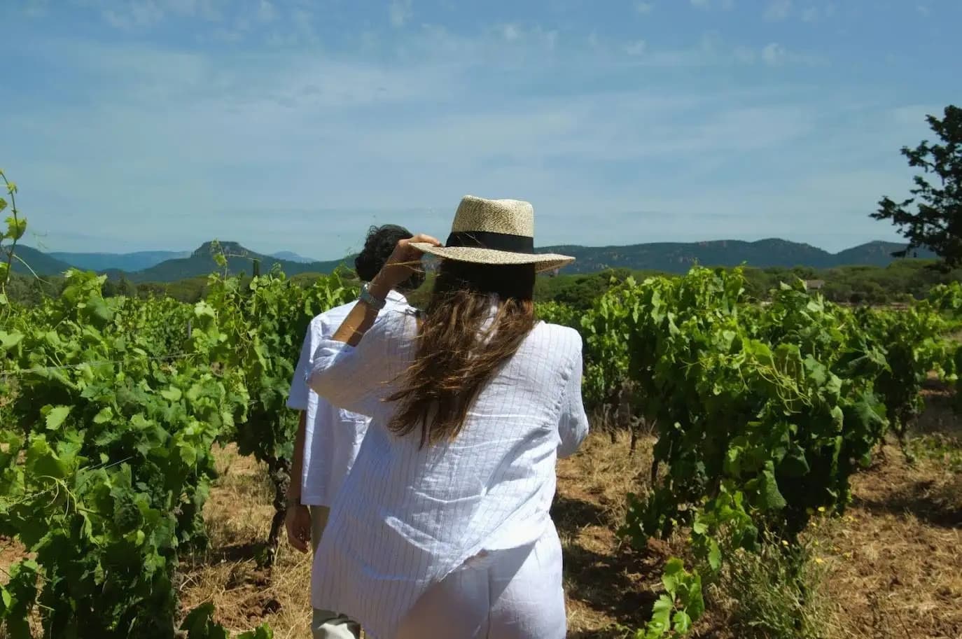 Wine Guide Provence: A Day in Provence's Vineyards