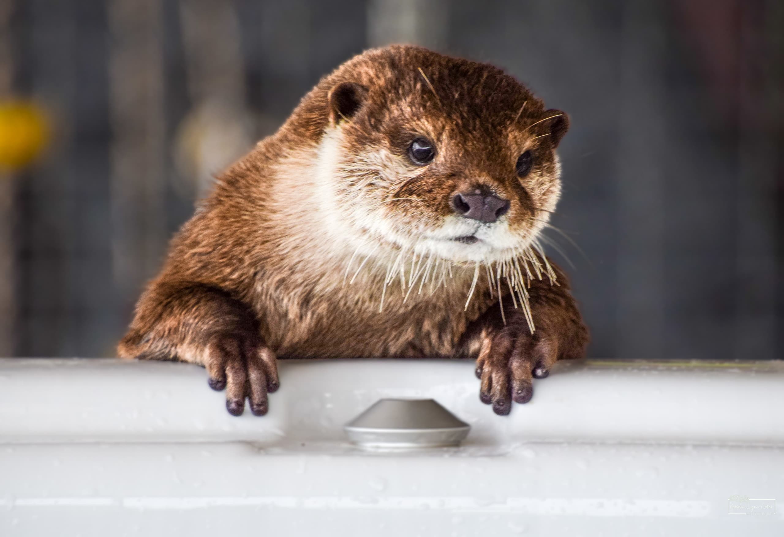 Wildlife & Water Activities at Blue Hills Ranch