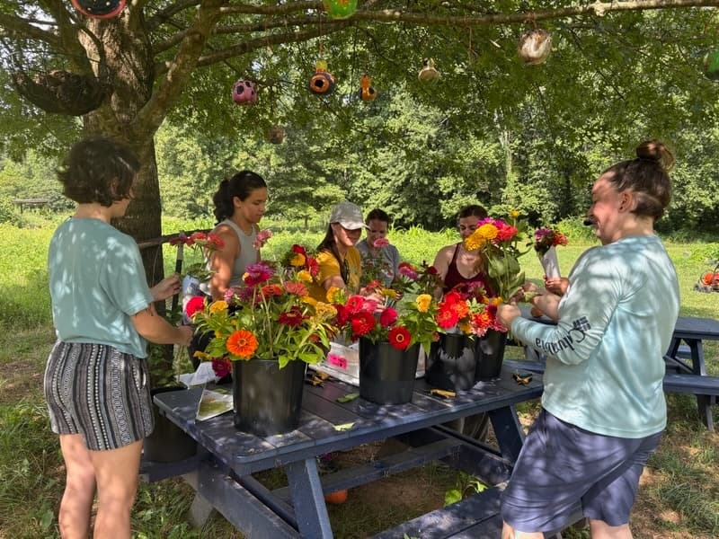 Volunteer at Crabtree Farms: Hands-On Community Farming in Chattanooga photo 1