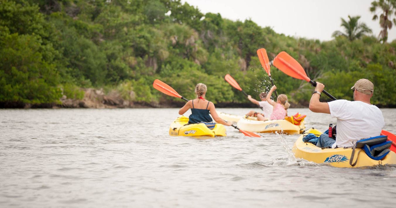 Estuary Kayak Tour with Nature Recreation Management of Lee County LLC in Fort Myers Beach