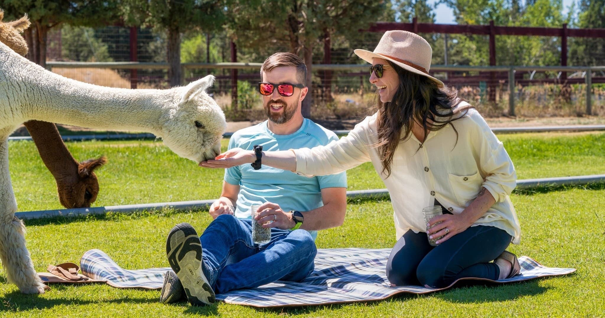 Alpaca Picnic in Bend, Oregon: Original Alpaca Picnic Experience at Flying Dutchman Alpacas photo 1