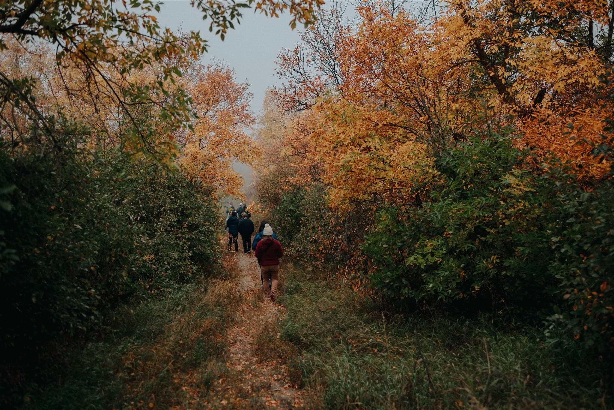 Slow Down on the South Saskatchewan: Flightpath to Stillness Birding Retreat