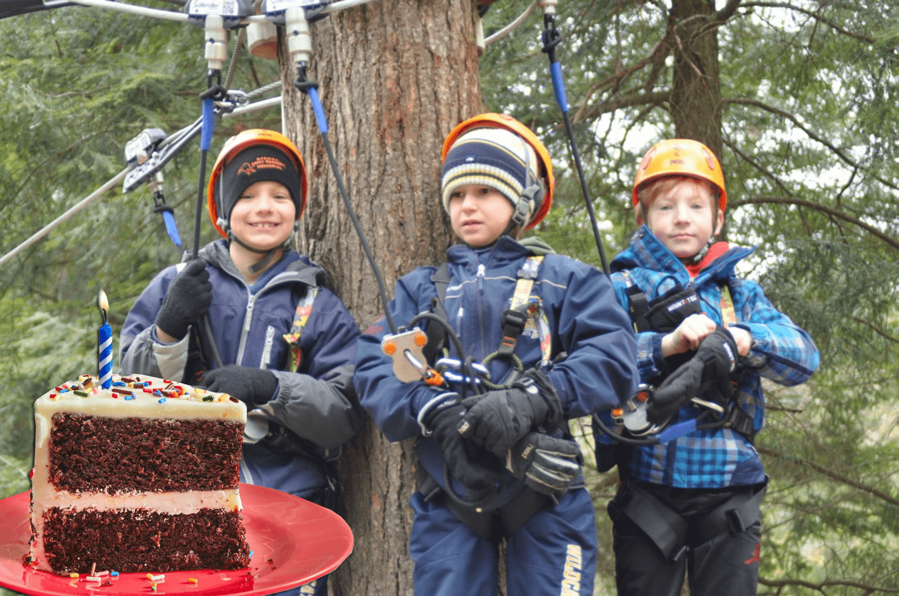 Outdoor Adventure Kids' Birthday at Treetop Eco-Adventures
