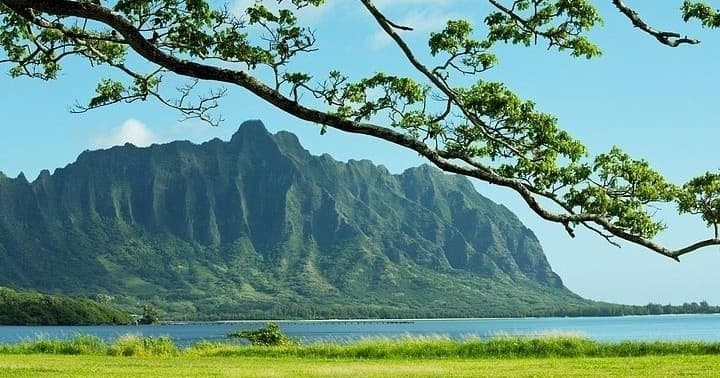 Guided Oahu Private Tour by Personalized Hawaii Vacations