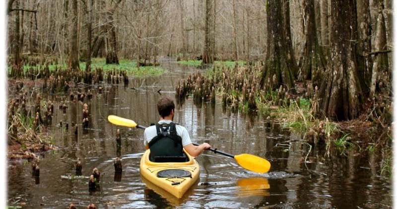 Charleston Kayak Company team