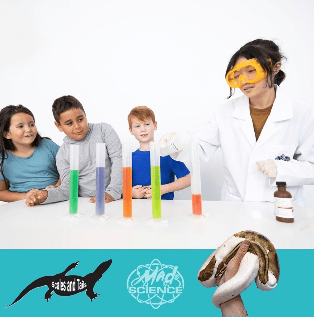 Creatures & Chemistry Party in Kearns, Utah