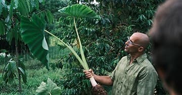 Explore Regenerative Farming and Native Ecosystems near Kilauea, Hawaii