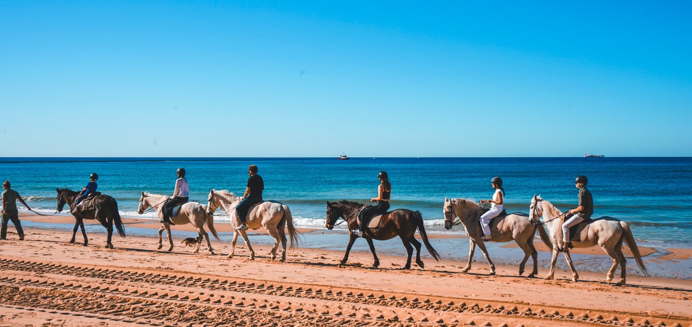 Algarve Equestrian Holiday: 7-Day Horseback Experience in Almancil photo 3