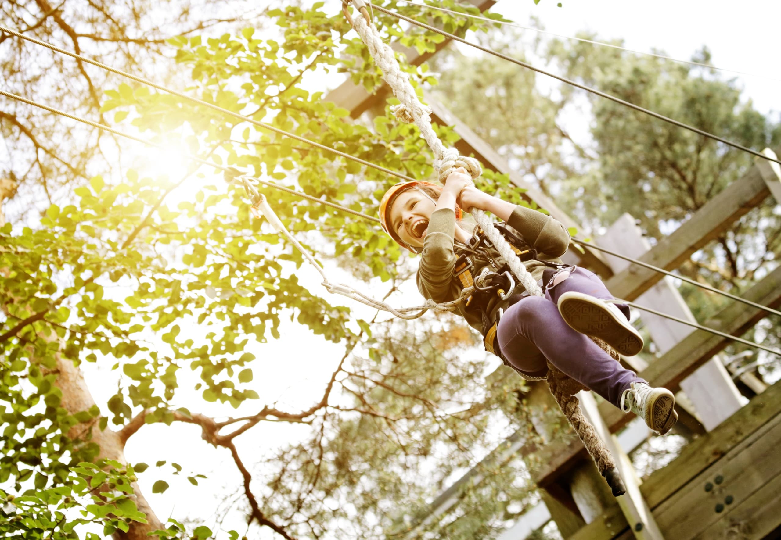 Family Adventure at Kletterwald Hoherodskopf in Edertal