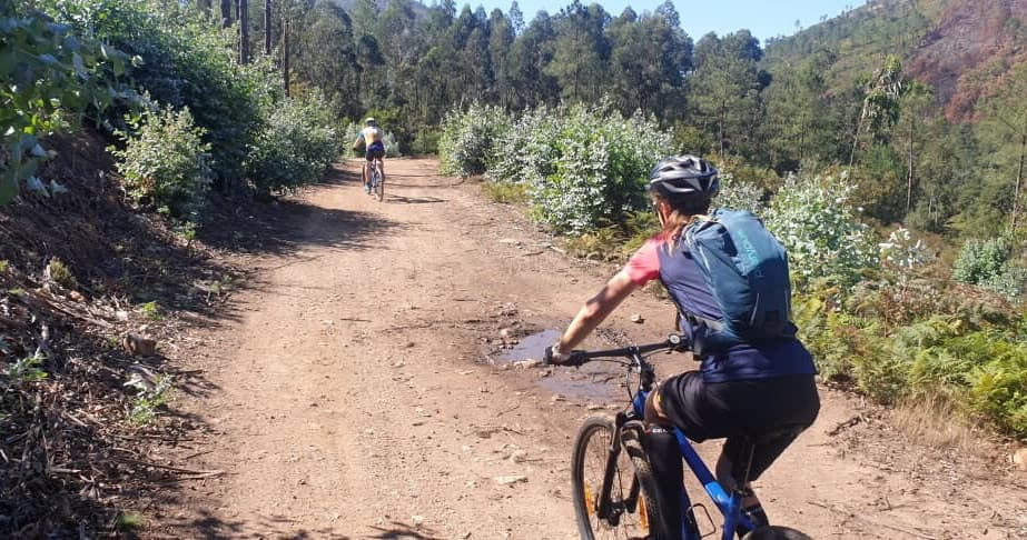 Mountain Bike Tours with Top Bike Tours in Porto
