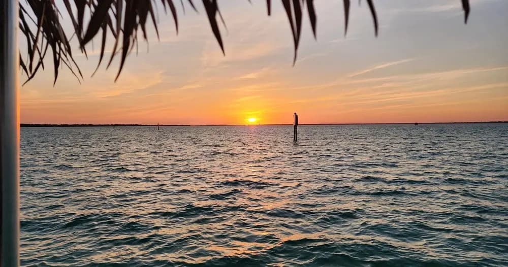 Destin Sunset Dolphin Cruise: Private 90-Minute Tiki Boat on Choctawhatchee Bay photo 1