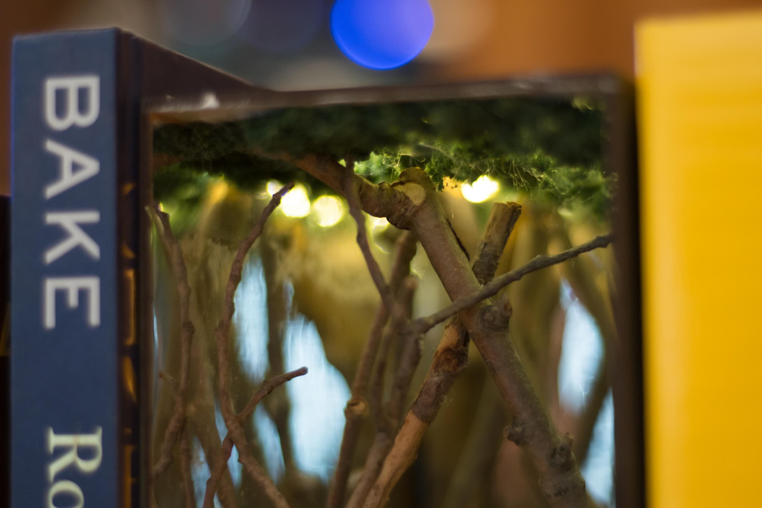 Make a Miniature Enchanted Forest in Brooklyn: Hands-On Book Nook Workshop photo 1