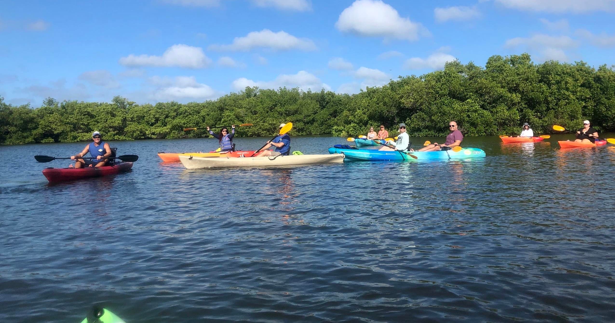 Guided kayak tour paddling through coastal mangrove waterways