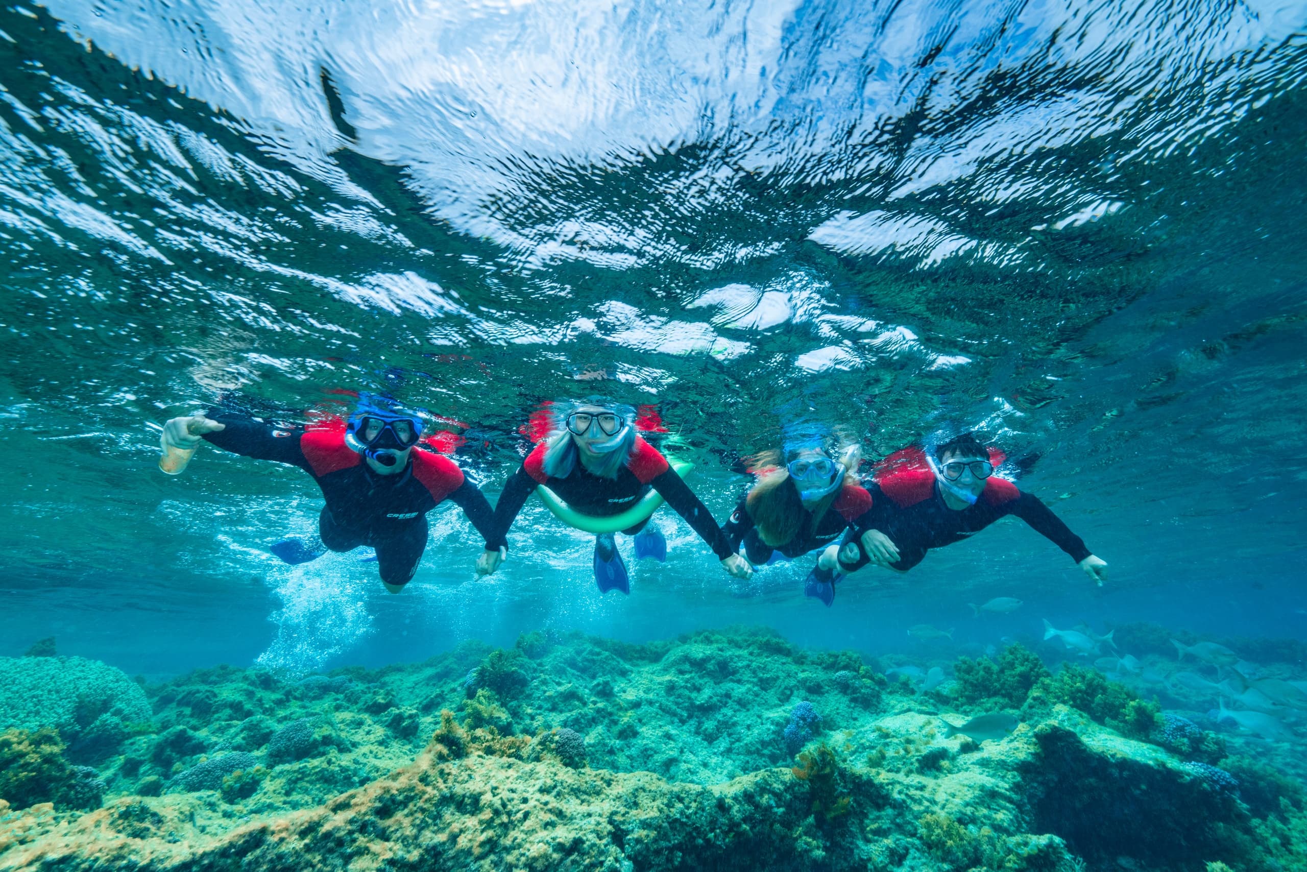 Group snorkeling near surface in clear shallow reef waters