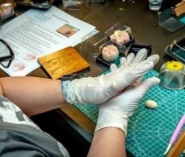 Nerikiri Wagashi Workshop in East Village — Make Morning Glories, Hibiscus & Hozuki photo 3