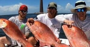 Offshore Fishing Adventure with Captain T's on Dauphin Island