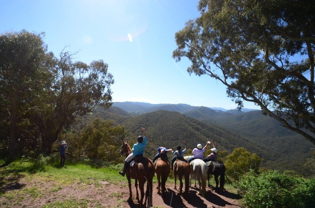 Land Adventure at Watson's Mountain Country Trail Rides