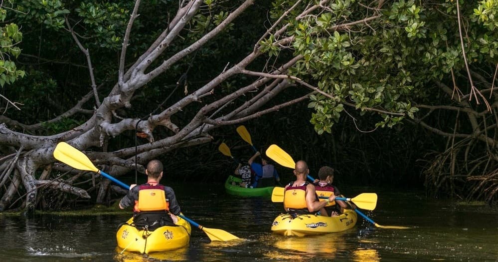 Bioluminescent Bay Kayak Tour from San Juan, Puerto Rico