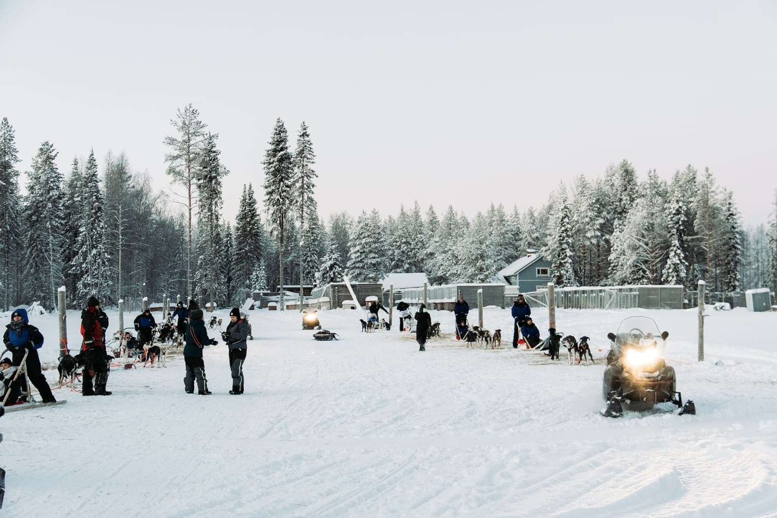 10 km Husky Safari at Pyhätunturi: 45-Min Sled Ride with Pyhä Husky Farm photo 4
