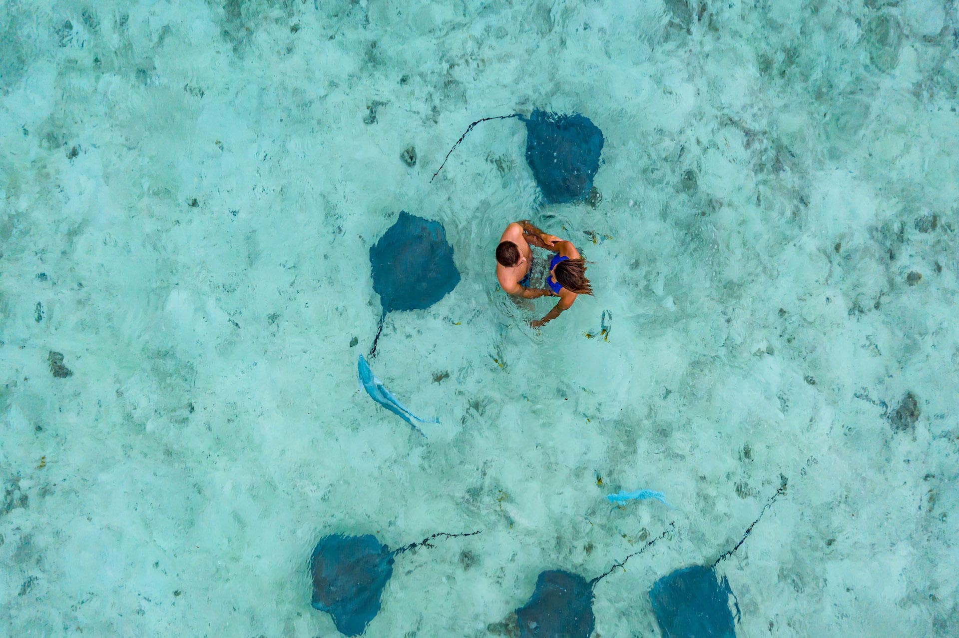 Eco Safari in Bora Bora with Moana Adventure Tours