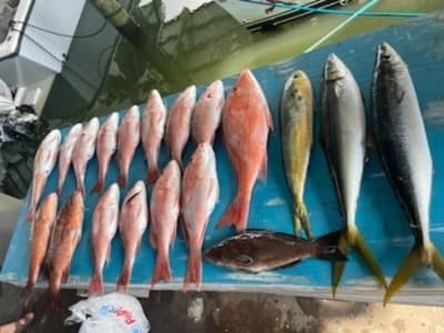 Fishing Adventure with Outriggers Fishing Charters in the Gulf Coast
