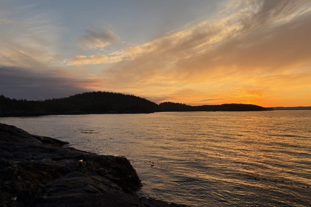 Golden Hour Sunset Journey: Salish Sea Sunset Wildlife Cruise in Campbell River