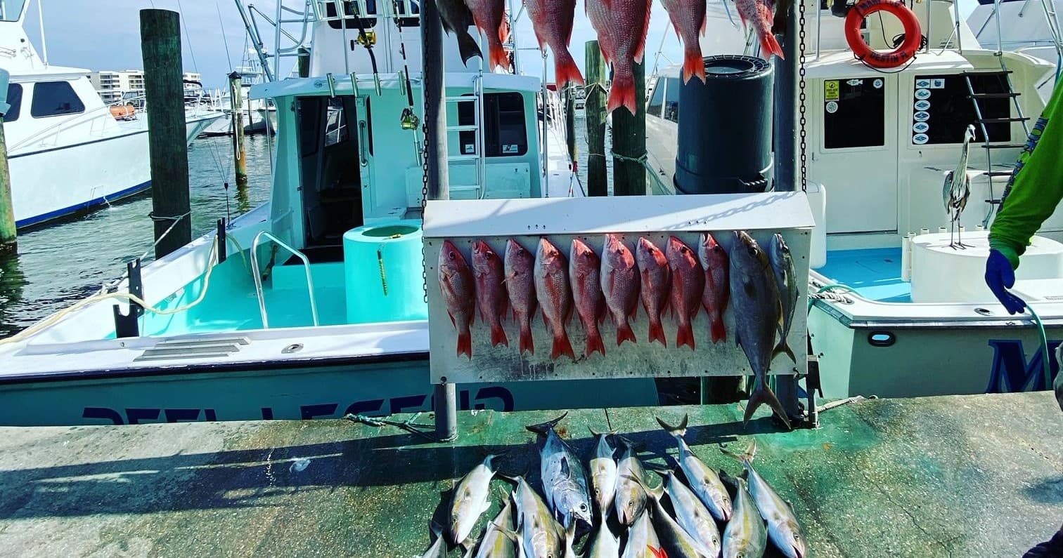 Fishing Charter with Reel Legend in Destin, Florida