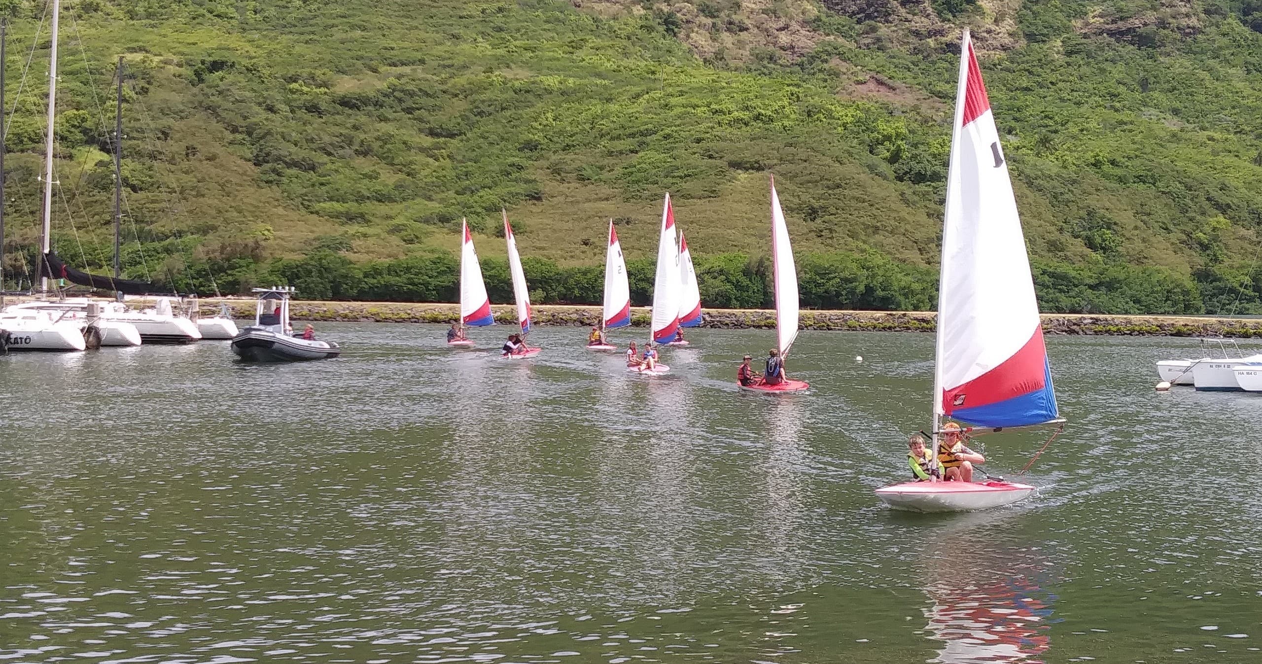 Colorful sailboats drifting in sheltered harbor near green shoreline