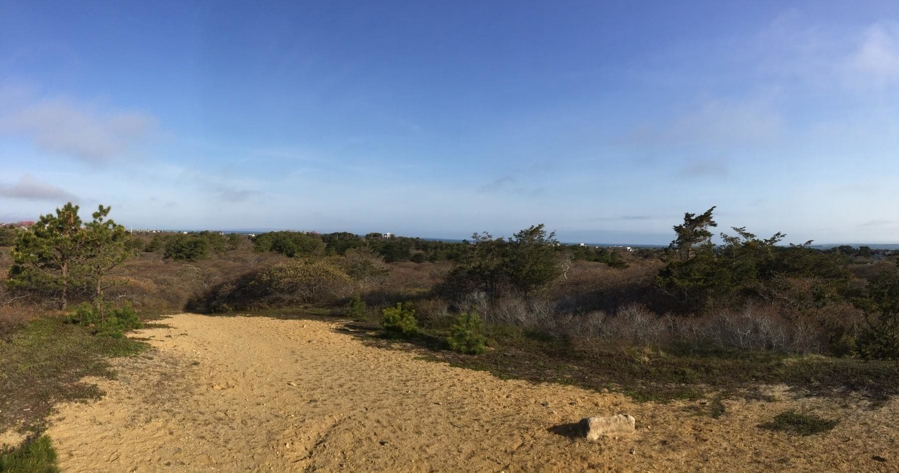 Sandy dune coastal landscape on Nantucket with open sky view