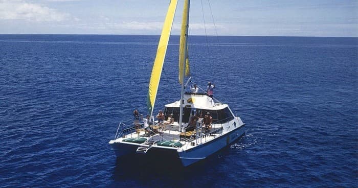 Sail and Snorkel Off Waikiki: Discover Hawaii’s Vibrant Marine Life at Diamond Head