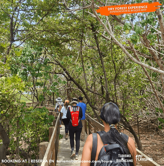 Concho's Forest Hike: Guánica Dry Forest UNESCO Biosphere Experience