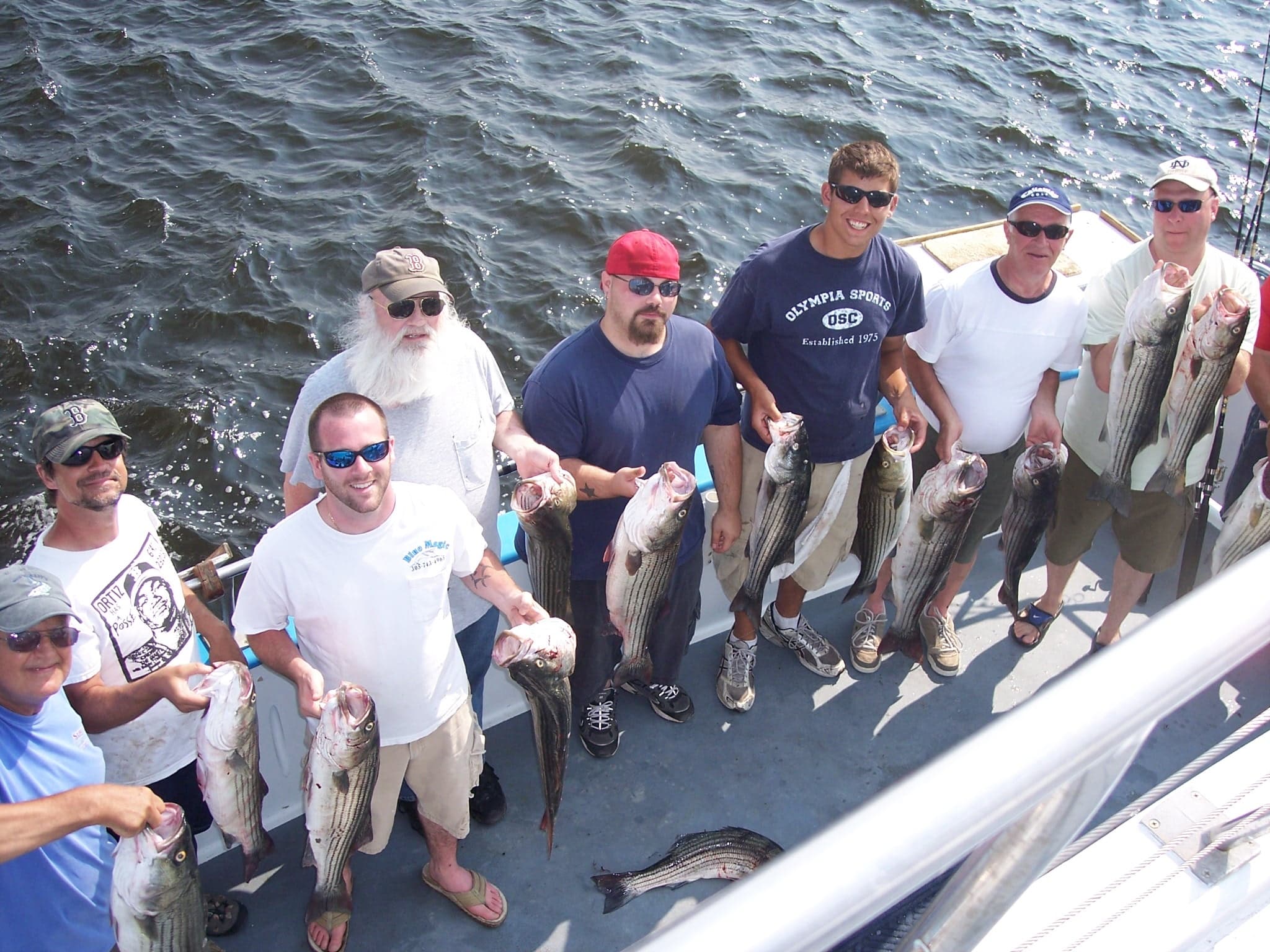 Mackerel & Bass Fishing with Captain's Fishing Parties