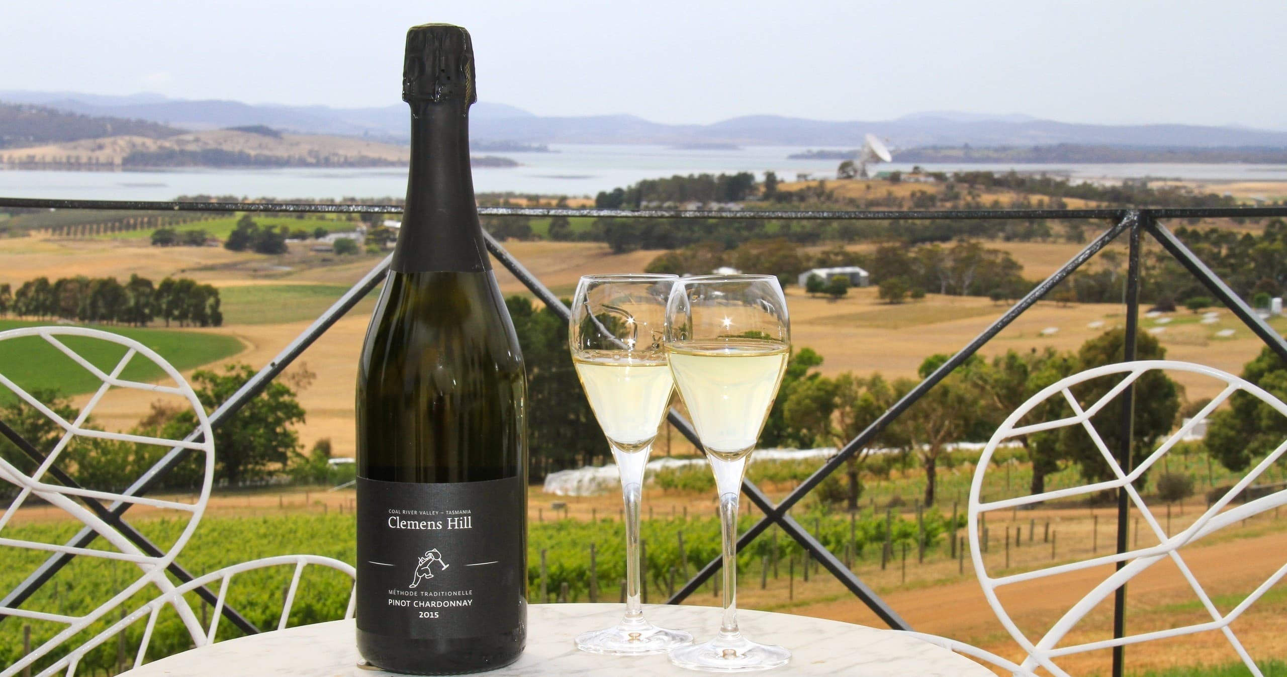 Sparkling wine tasting on vineyard terrace with coastal view