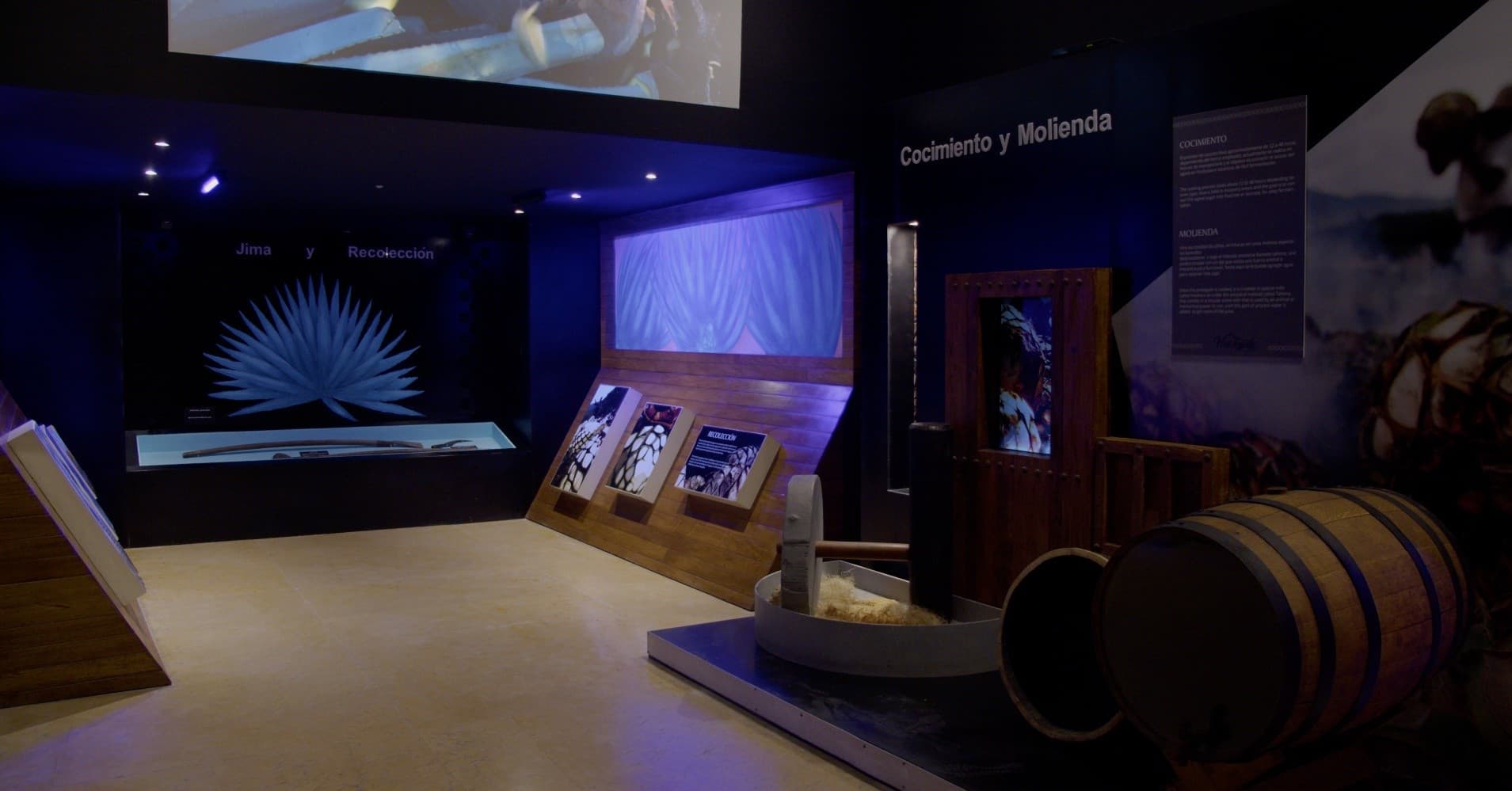 Museum tasting exhibit showing barrels and interactive tequila displays