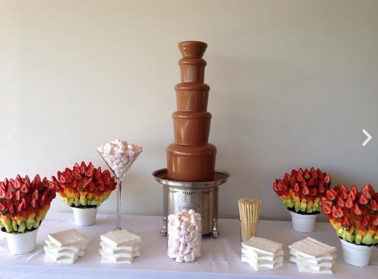 JoJoFun Chocolate Fountain Party in Toronto — Balloon Decor, Games & Catering photo 3