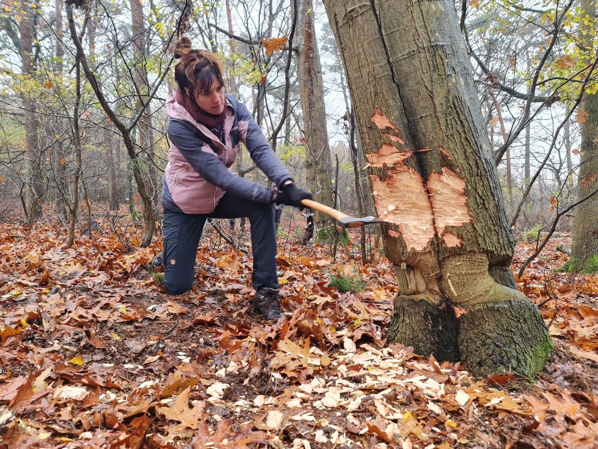 Axe Care and Campfire Cooking: Two-Day Bushcraft at Leersums Veld photo 1