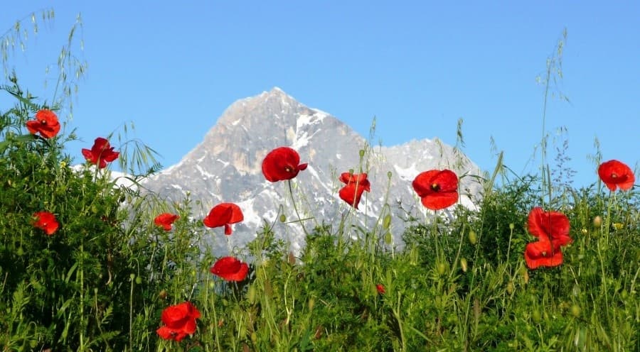 Luxury Private Transfer with Discovery Guided Tours from Rome to L'Aquila