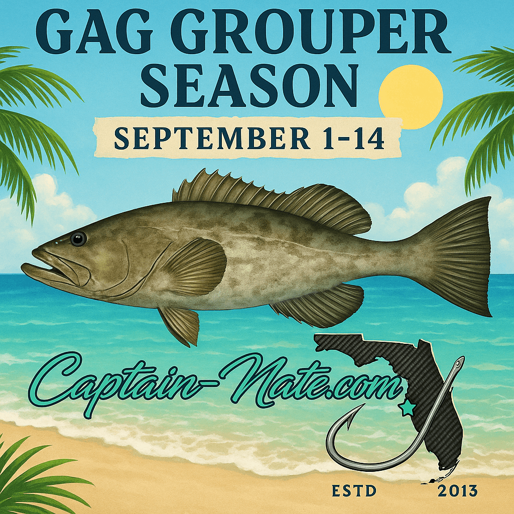 Grouper Fishing Charter with Captain Nate in Bradenton, FL