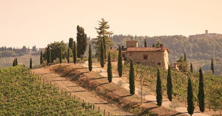 Chianti Wine & Medieval Tuscan Tours by Under The Tuscan Sun