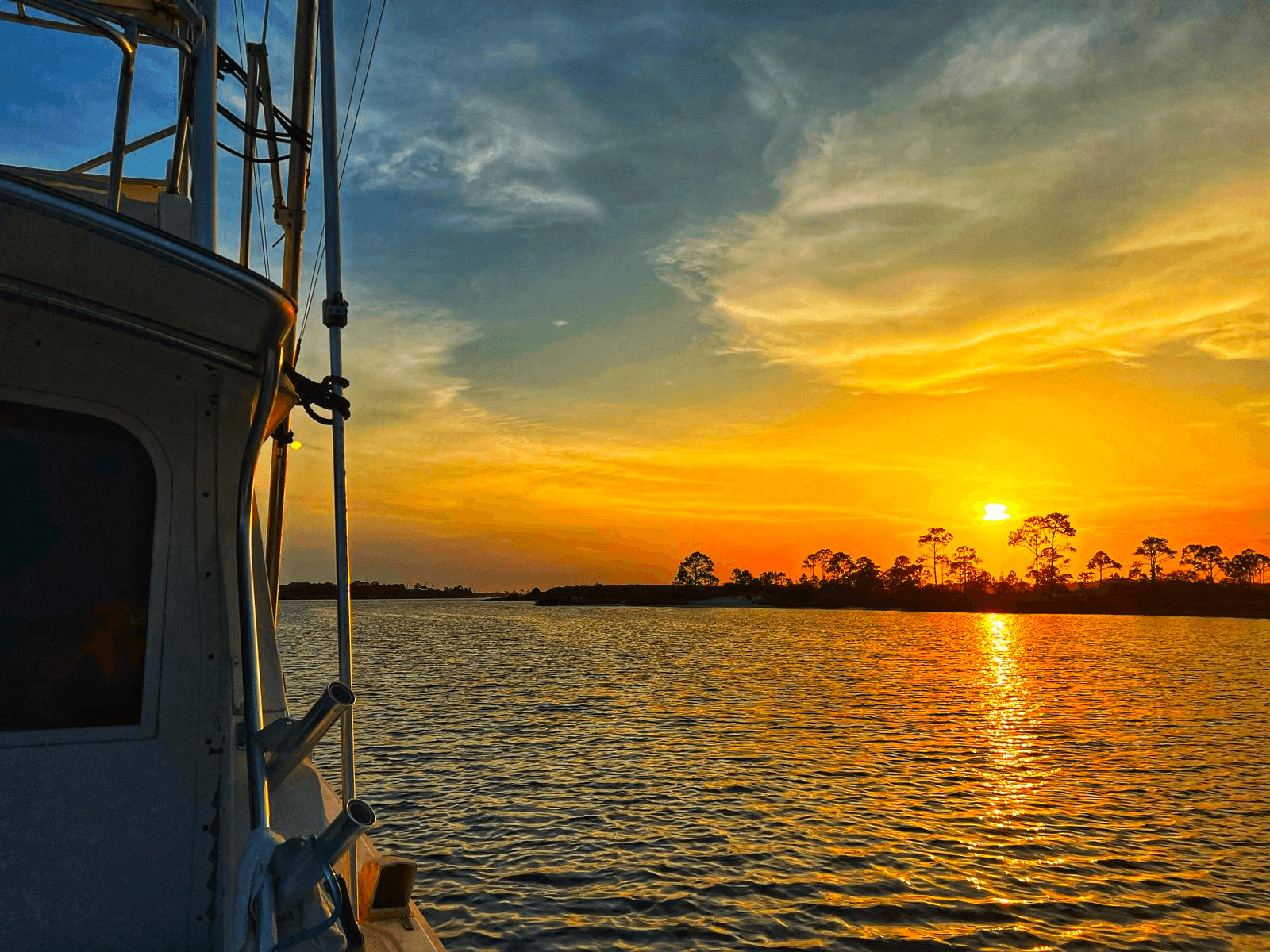 Dolphin Watching, Harbor Tour and Sunset Cruise | Dolphin in Okaloosa Island, Florida photo 1