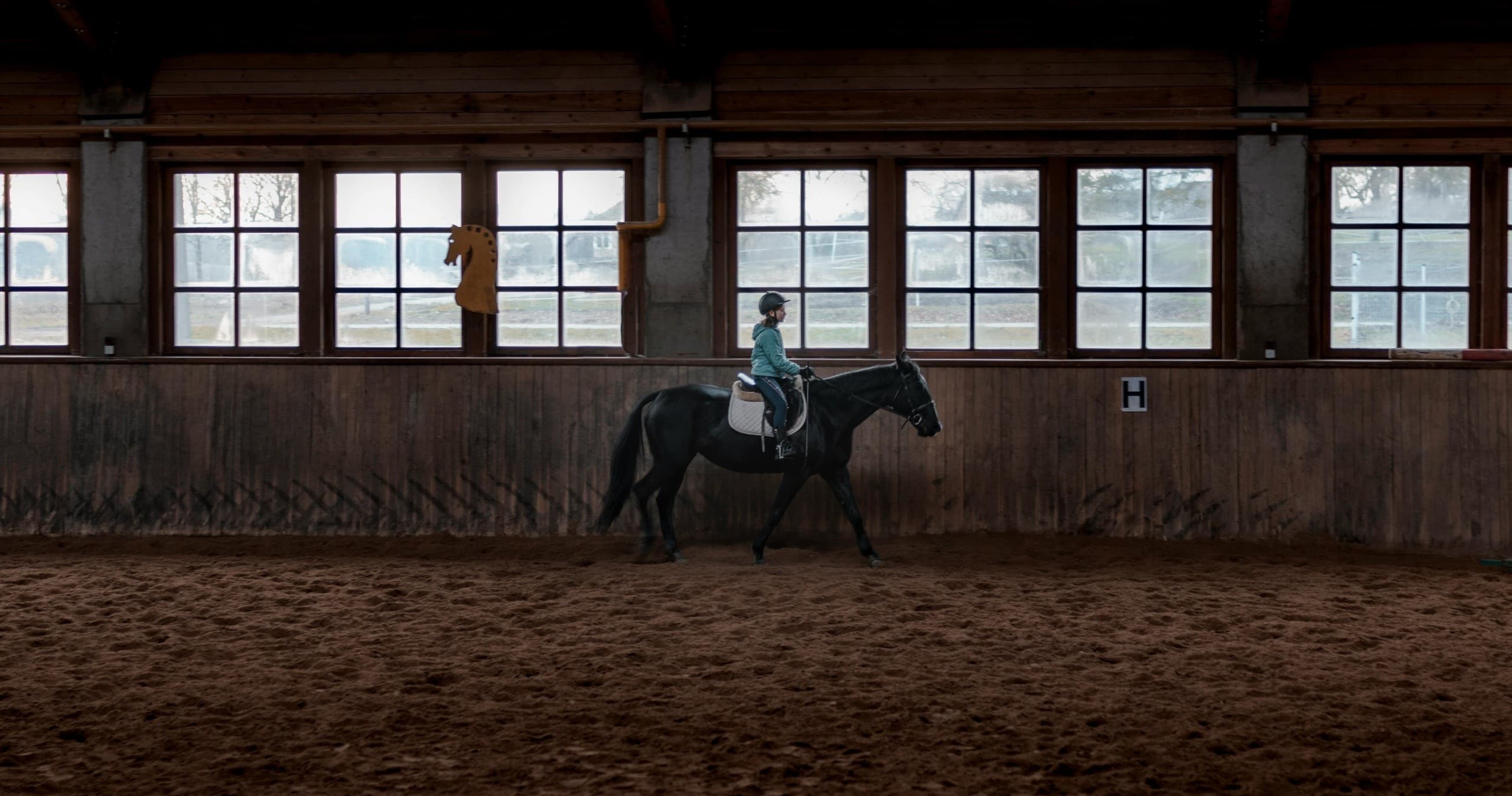 One-Hour Riding Lessons at Rock Springs Guest Ranch in Sorrento, Florida