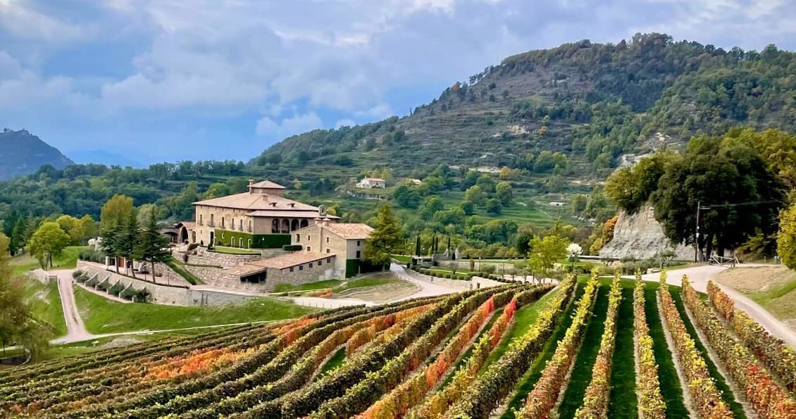 Vineyard estate with colorful rows on rolling hills, scenic tasting
