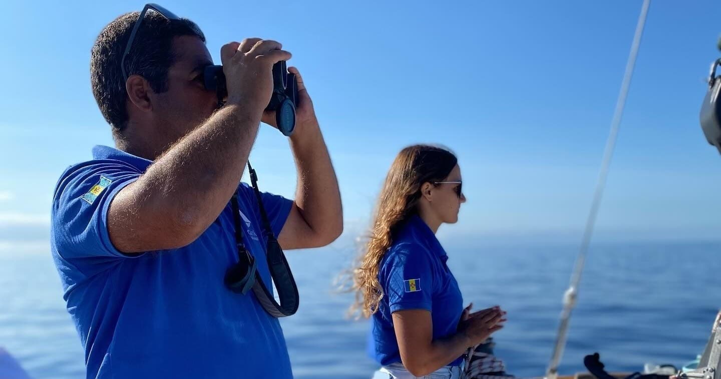 Gaviao Madeira team