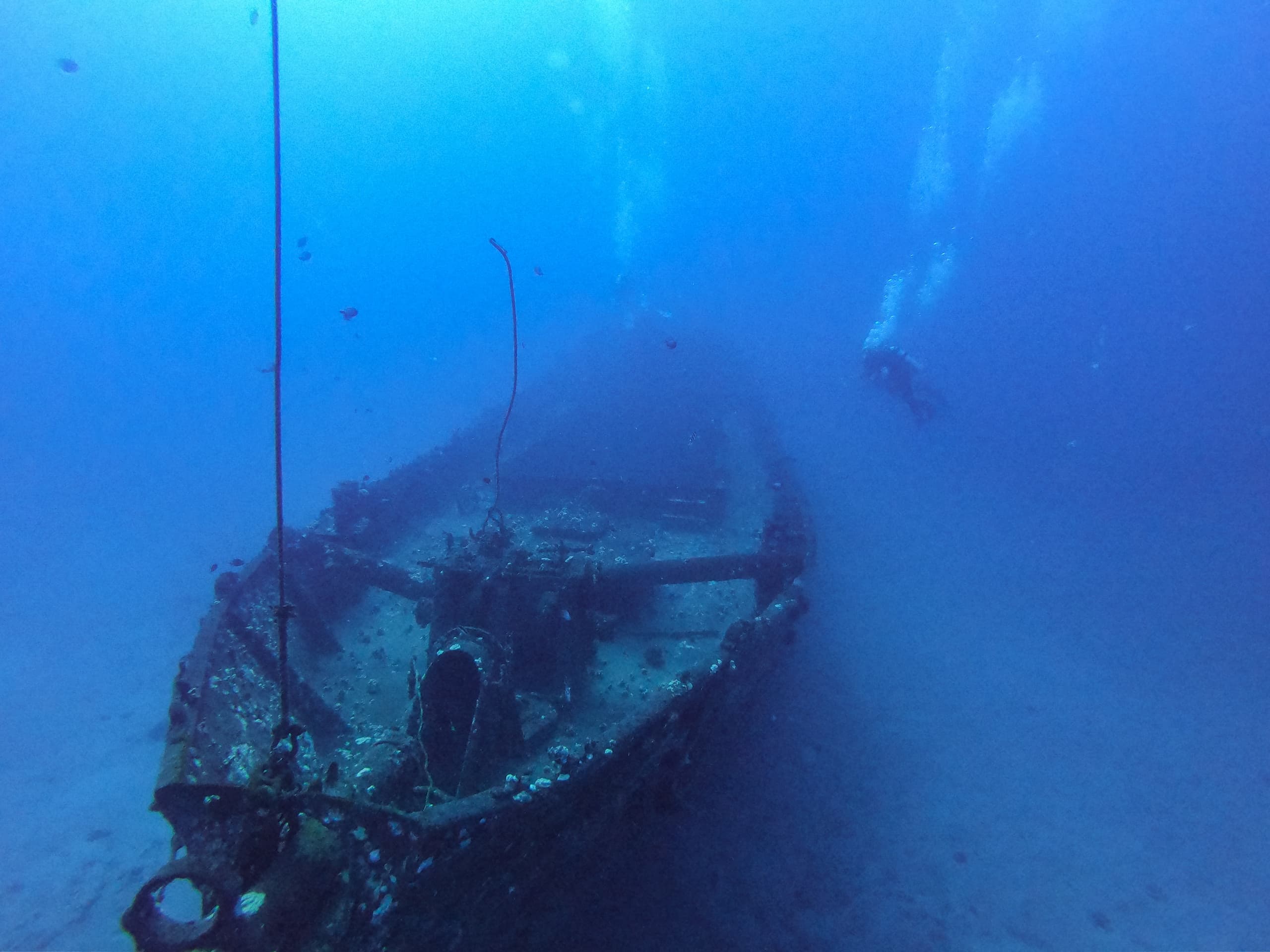 Carthaginian Shipwreck Dive with Island Style Diving in Kihei