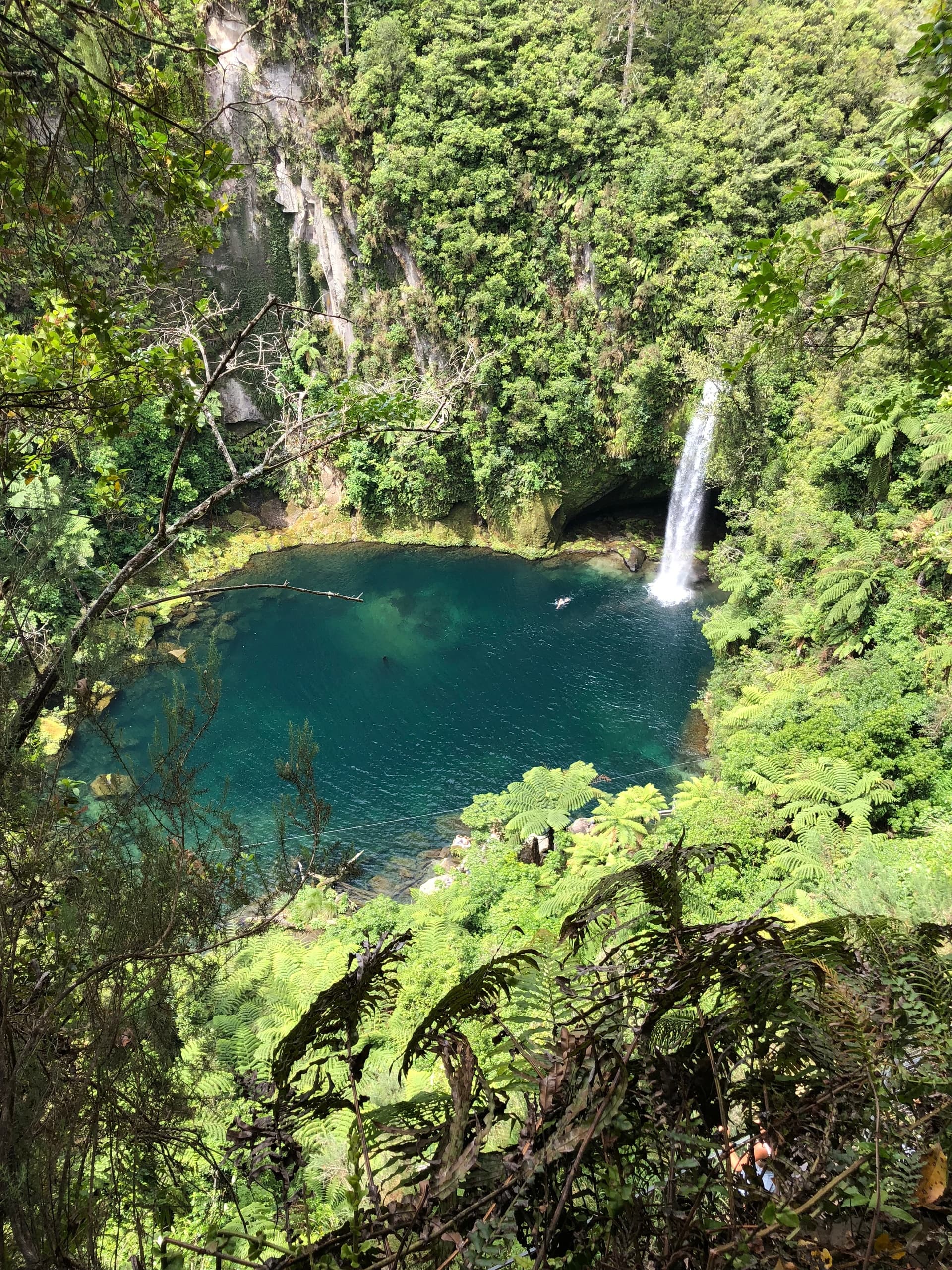 Explore Omanawa Falls: A Guided Adventure through Rotorua's Natural and Cultural Gems